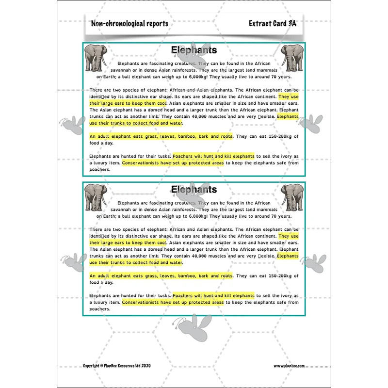 Non-chronological Reports - Image 44