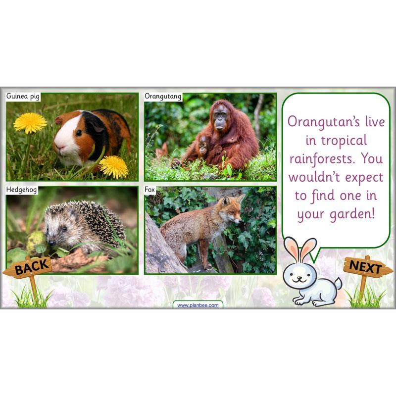Pets and Gardens - Image 25
