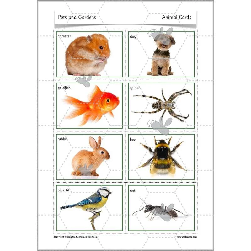 Pets and Gardens - Image 35