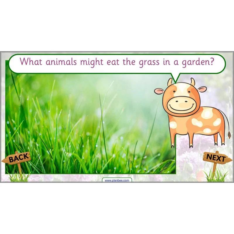 Pets and Gardens - Image 38