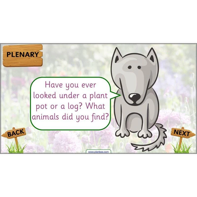 Pets and Gardens - Image 49