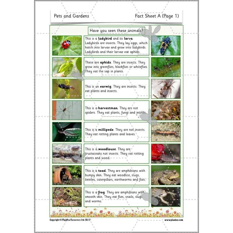 Pets and Gardens - Image 51