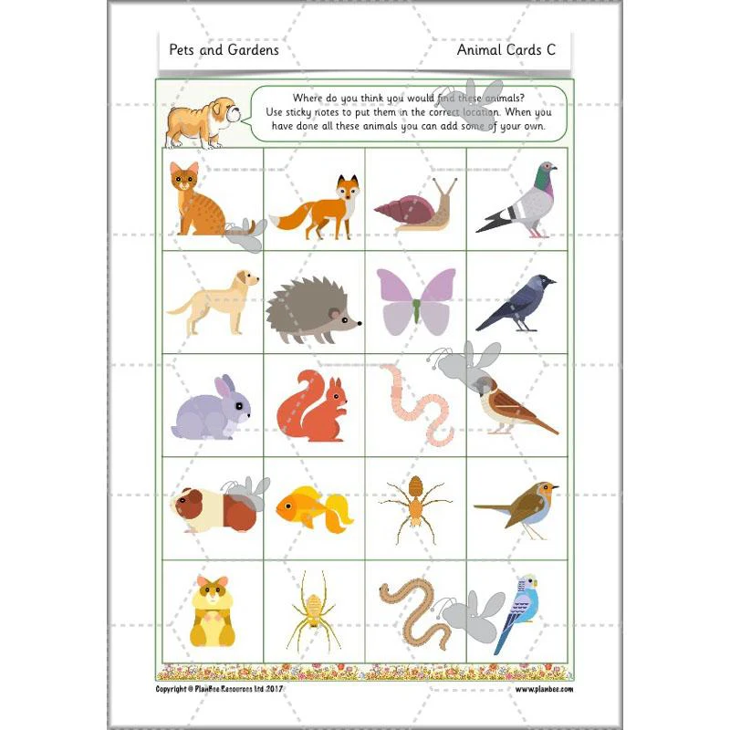 Pets and Gardens - Image 68