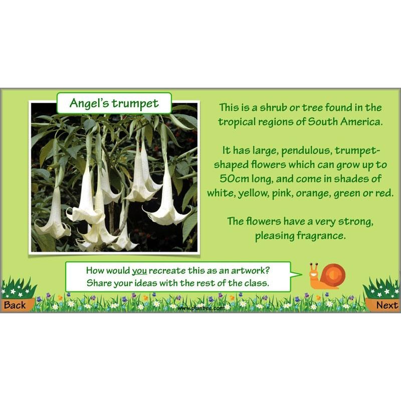 Plant Art - Image 16