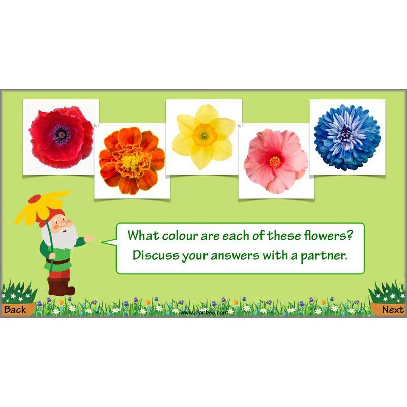 Plant Art - Image 41