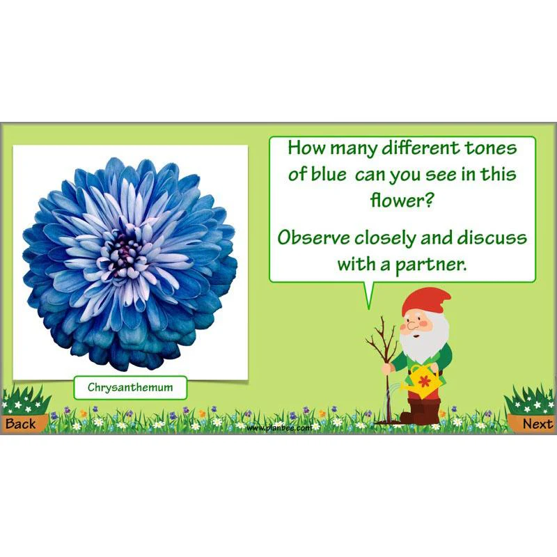 Plant Art - Image 42