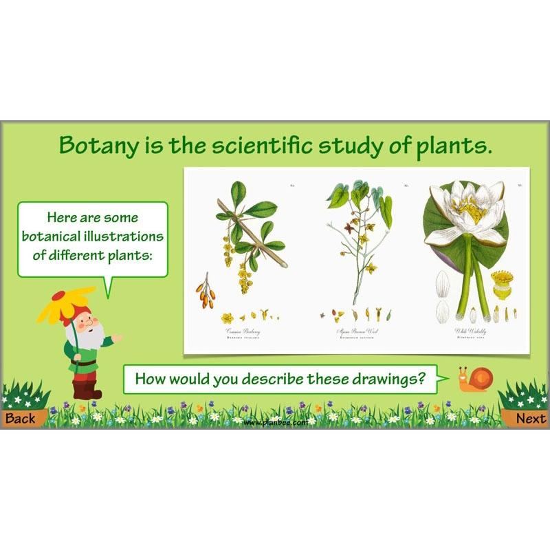 Plant Art - Image 5