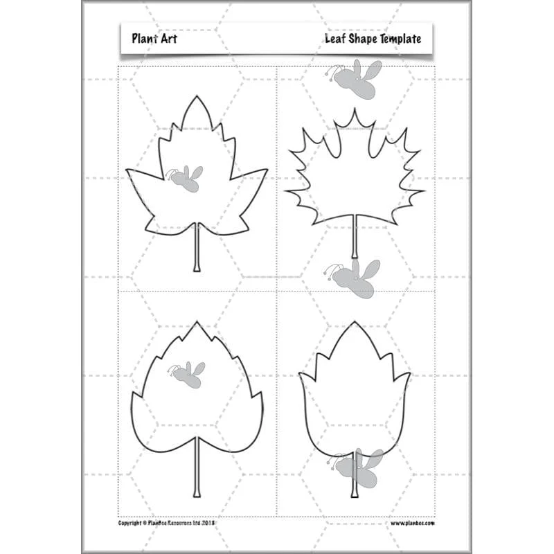 Plant Art - Image 54