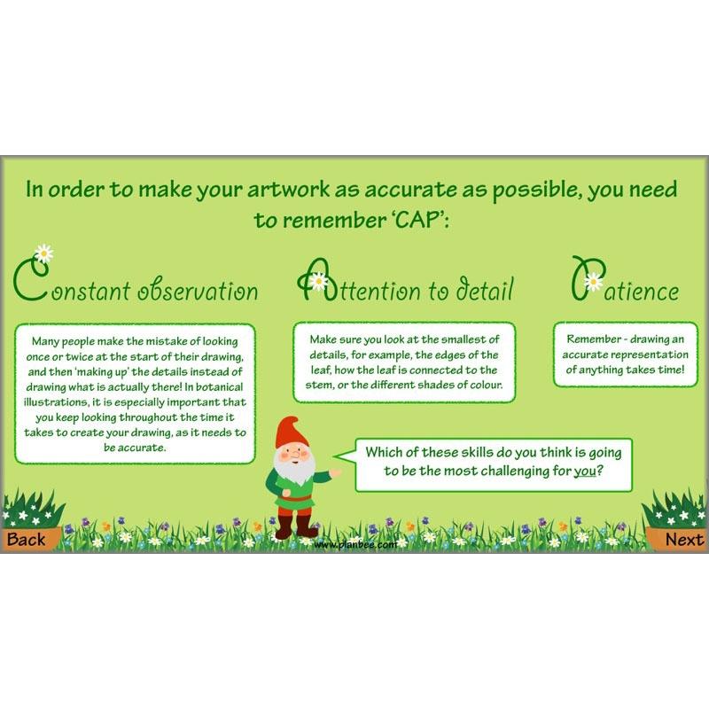 Plant Art - Image 6