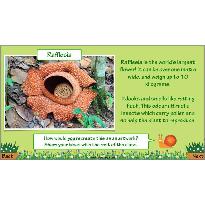 Plant Art - Image 75
