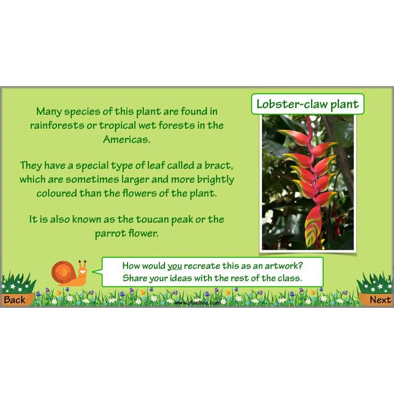 Plant Art - Image 76