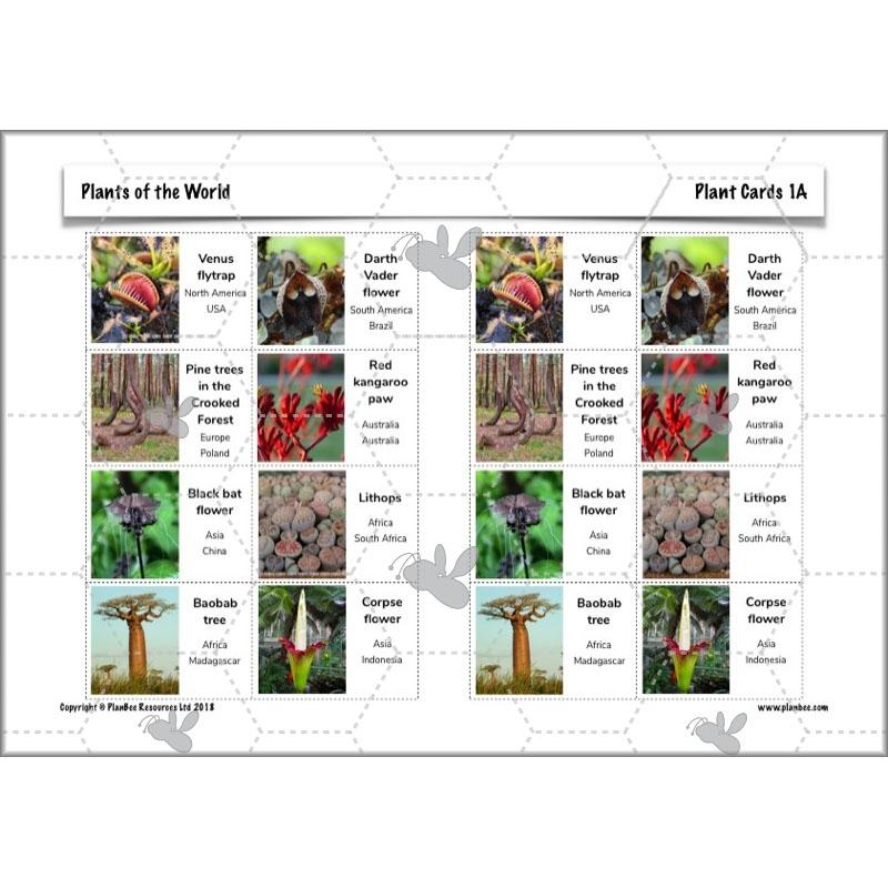 Plants of the World - Image 16