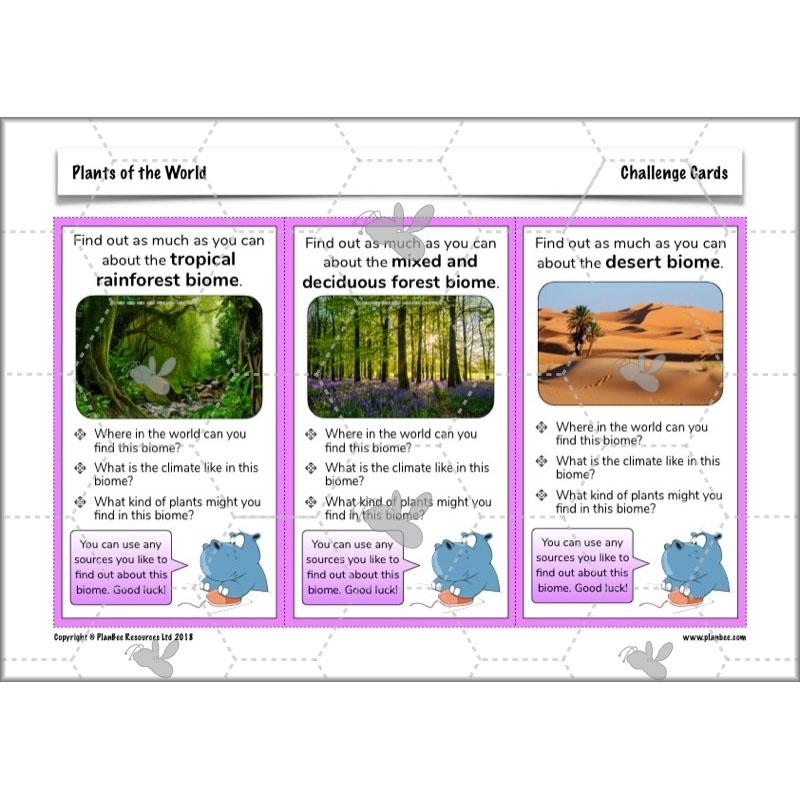 Plants of the World - Image 17