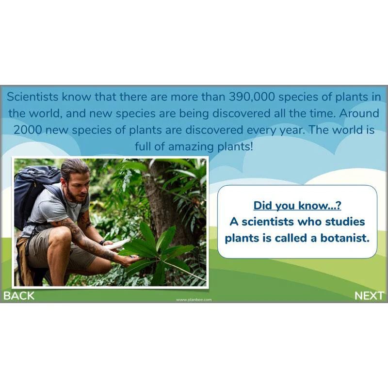 Plants of the World - Image 23