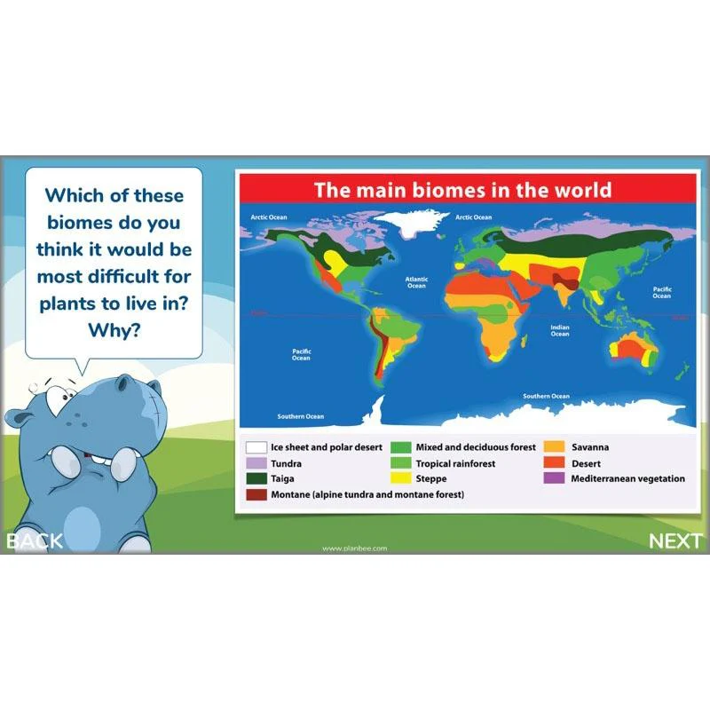 Plants of the World - Image 3