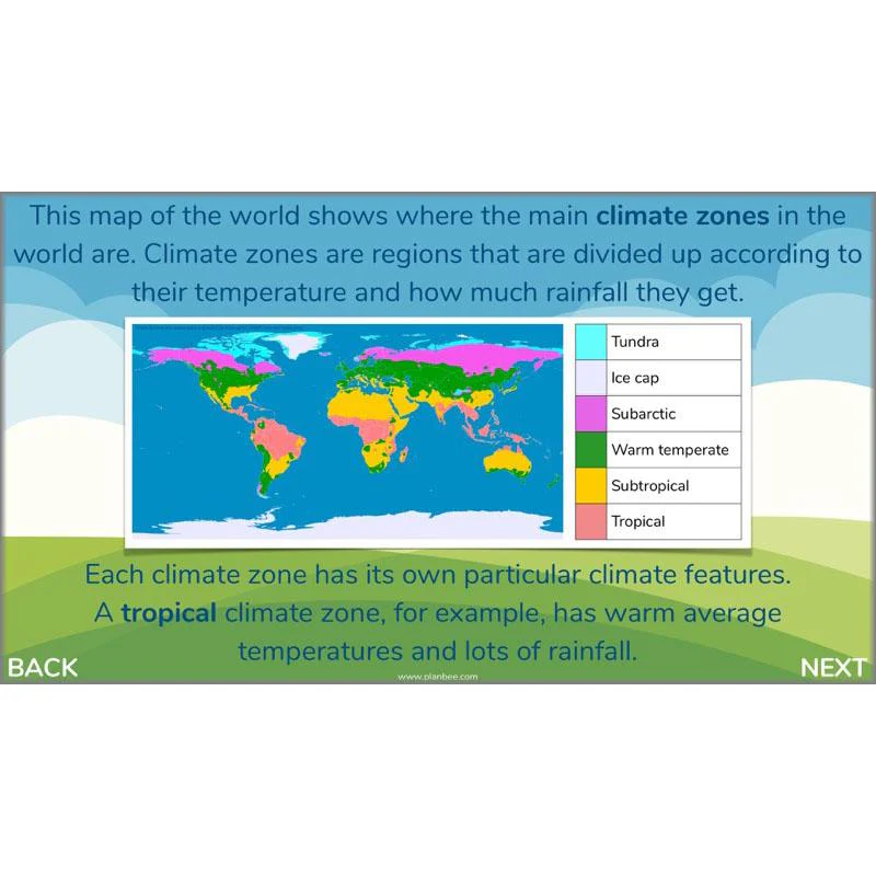 Plants of the World - Image 31