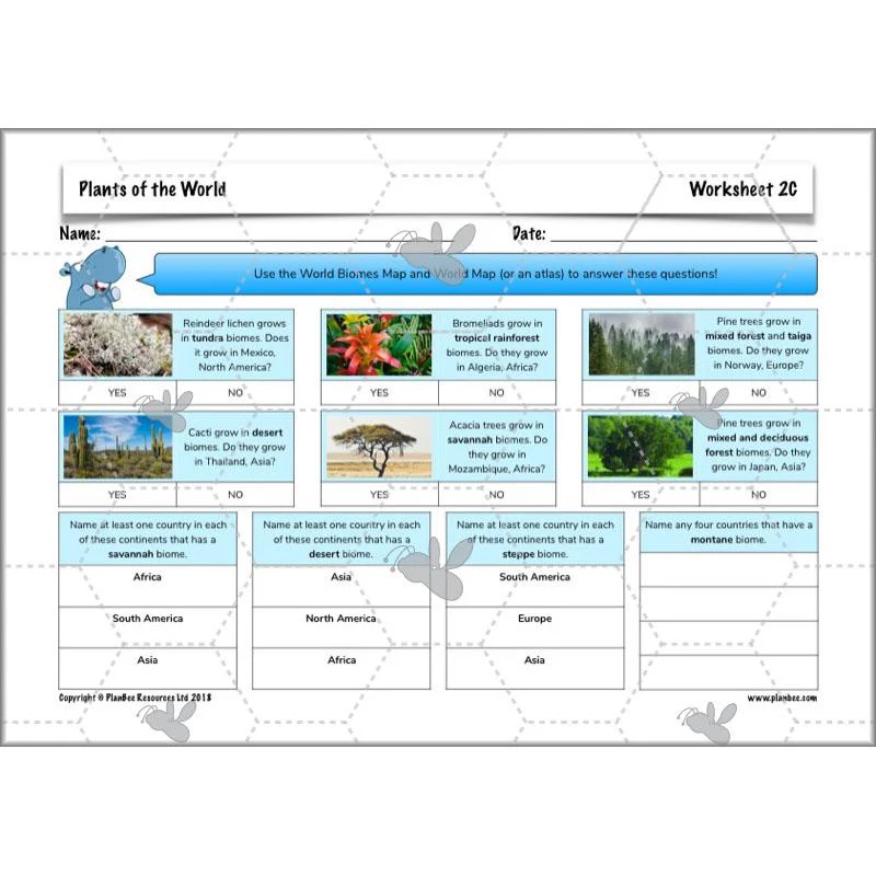 Plants of the World - Image 35