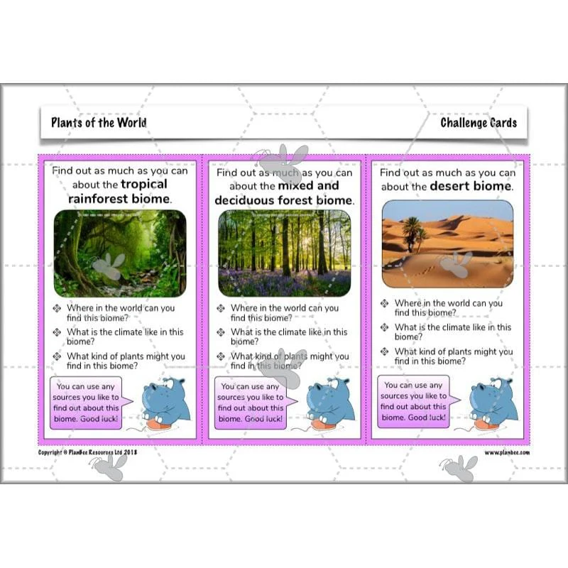 Plants of the World - Image 36