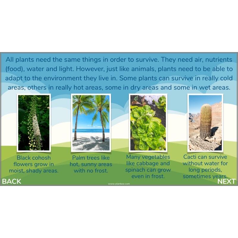 Plants of the World - Image 4