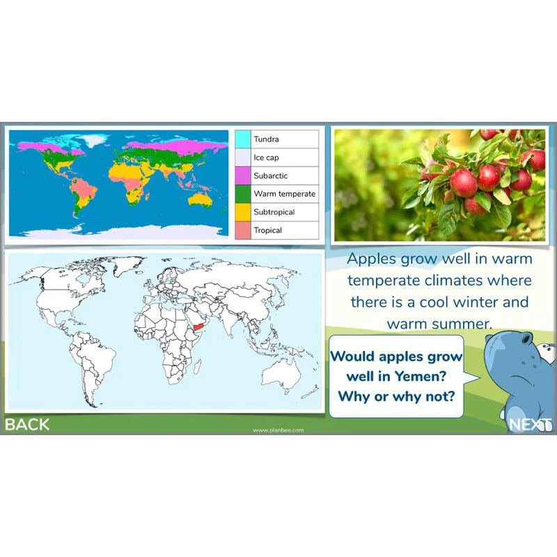 Plants of the World - Image 49