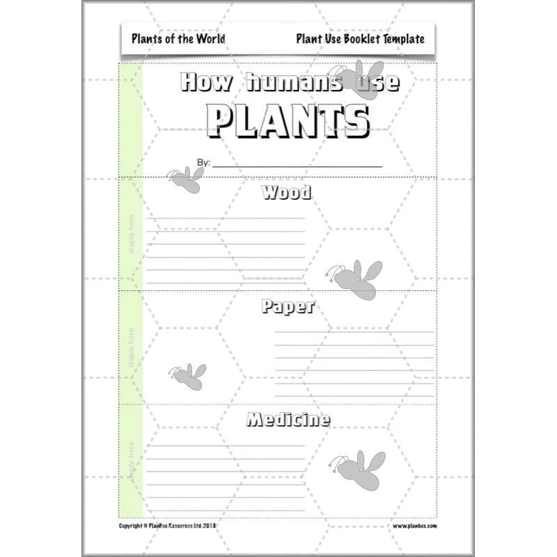Plants of the World - Image 59