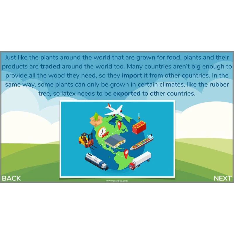 Plants of the World - Image 9