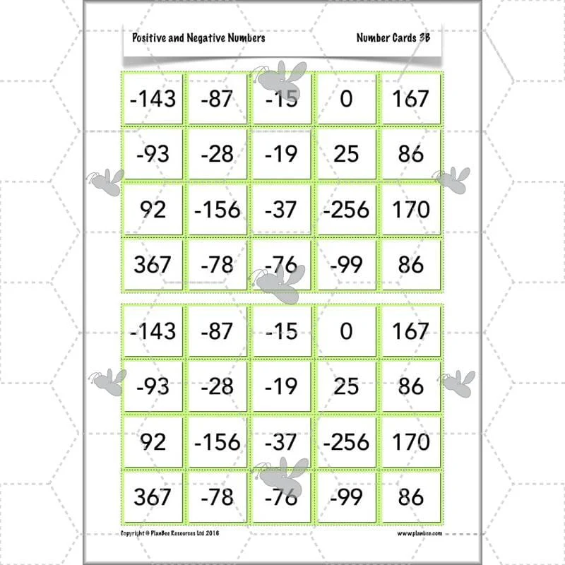 Positive and Negative Numbers - Image 14