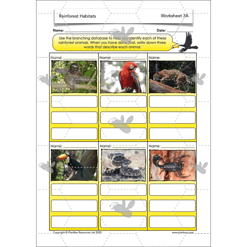 Rainforest Habitats - Image 15