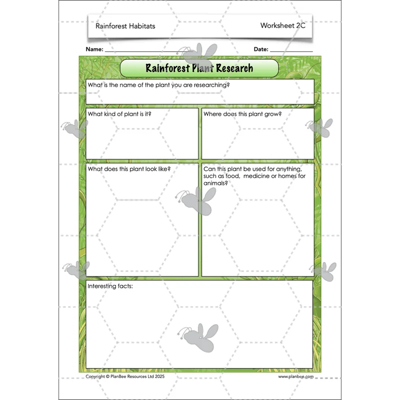 Rainforest Habitats - Image 32