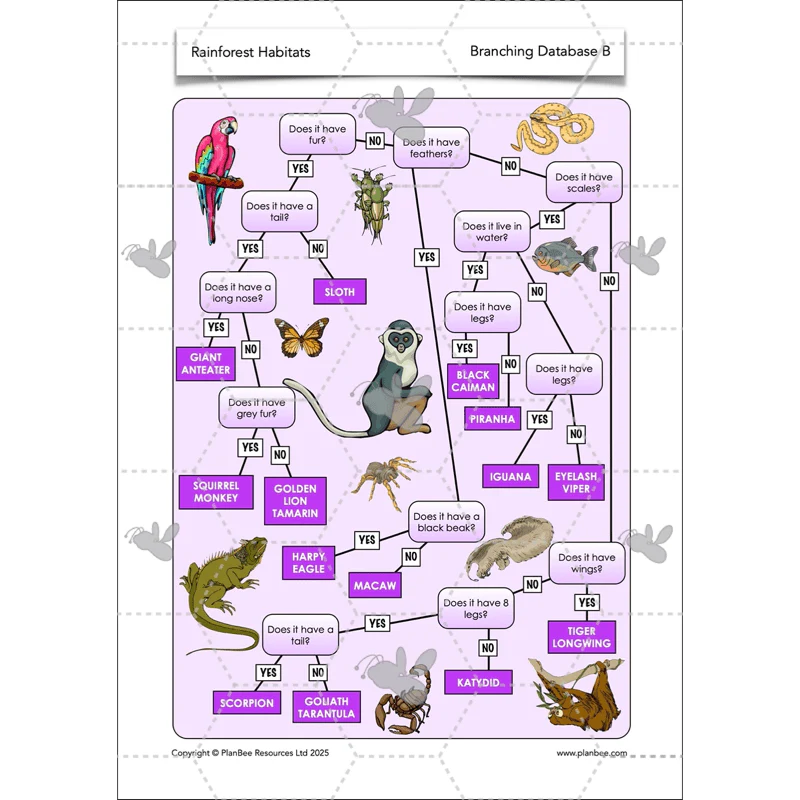 Rainforest Habitats - Image 41