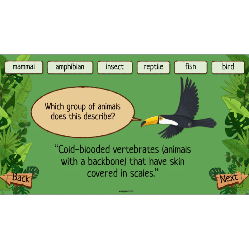 Rainforest Habitats - Image 45