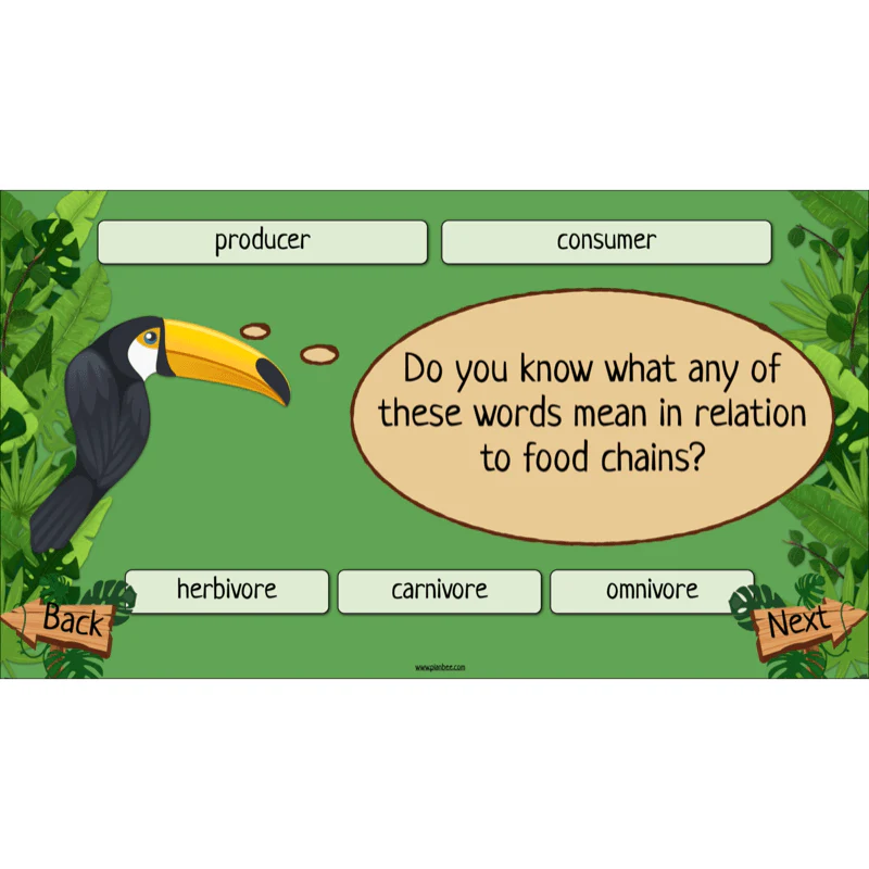 Rainforest Habitats - Image 52