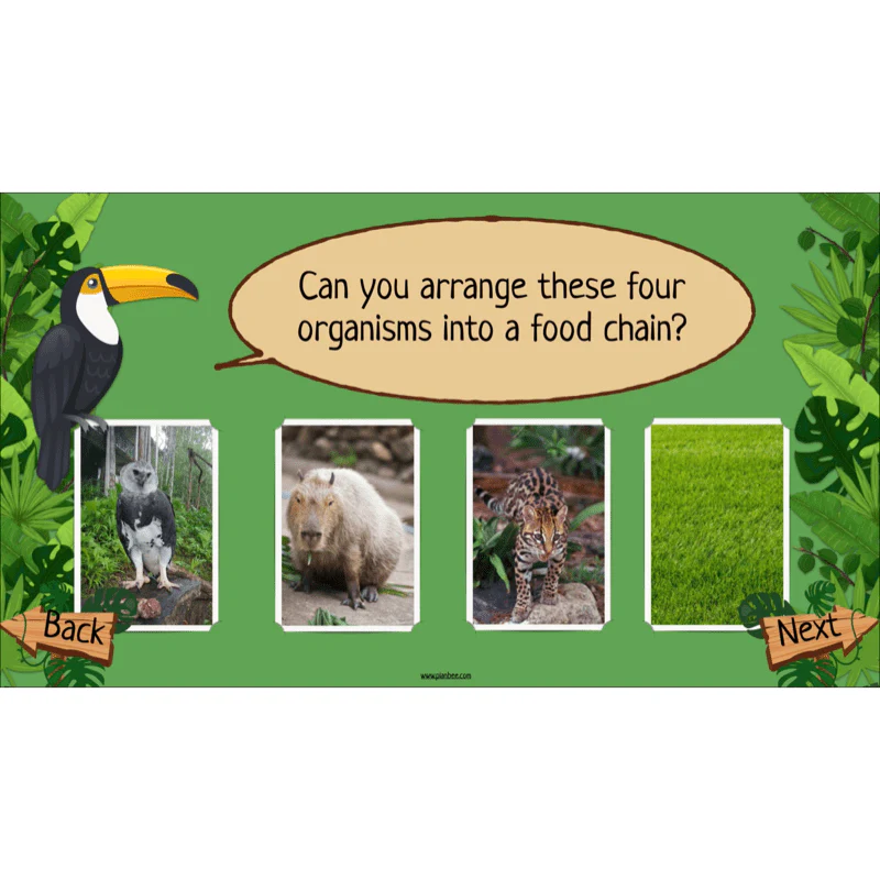 Rainforest Habitats - Image 55