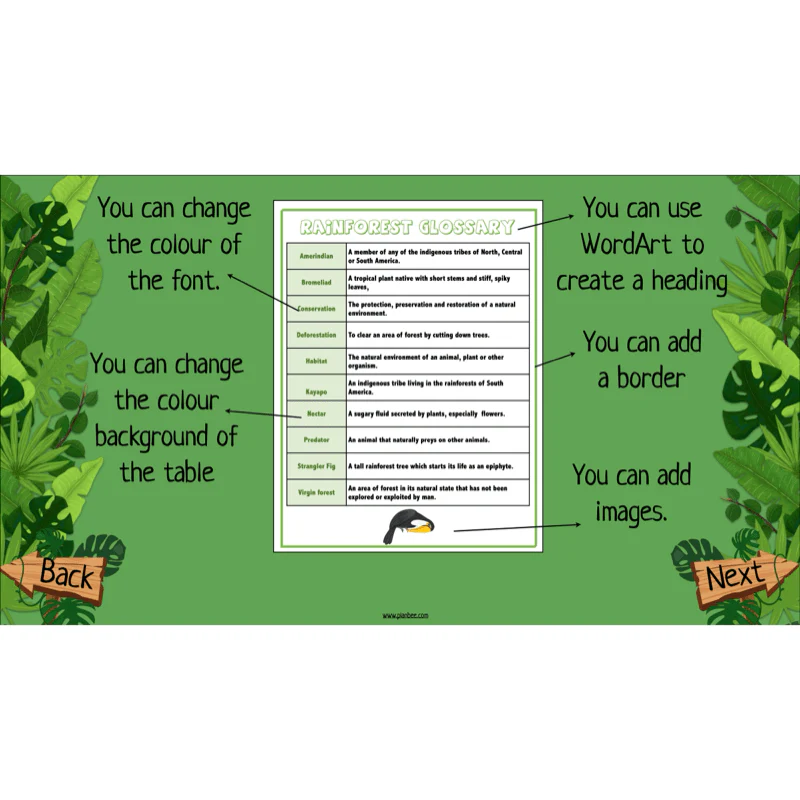 The Rainforest Topic Enrichment Pack - Image 12