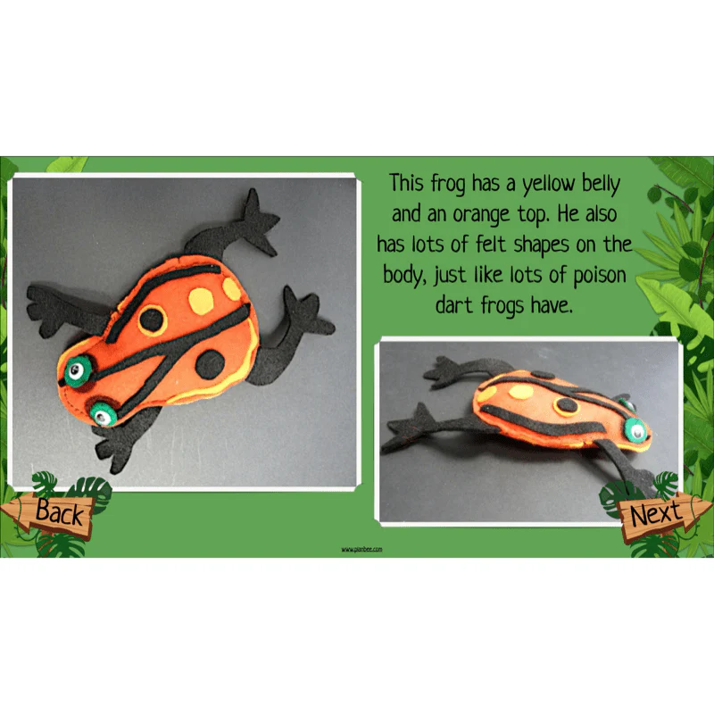 The Rainforest Topic Enrichment Pack - Image 14