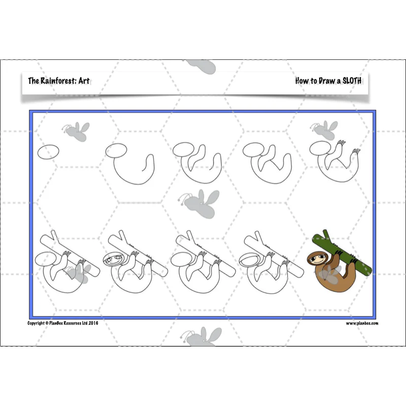 The Rainforest Topic Enrichment Pack - Image 17
