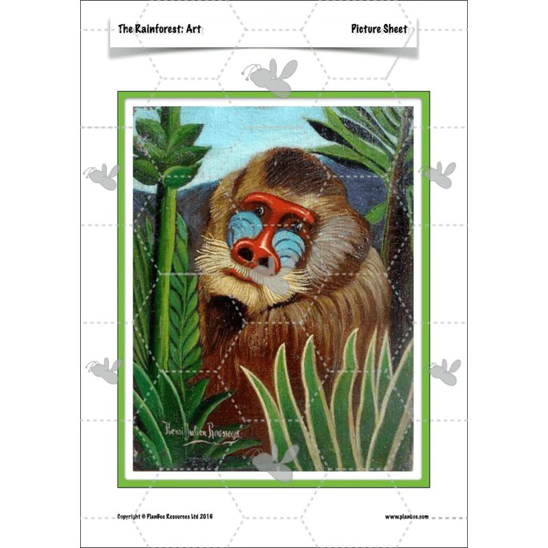 The Rainforest Topic Enrichment Pack - Image 18
