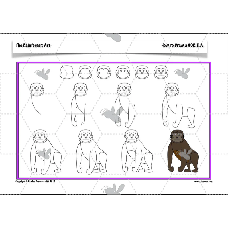The Rainforest Topic Enrichment Pack - Image 31
