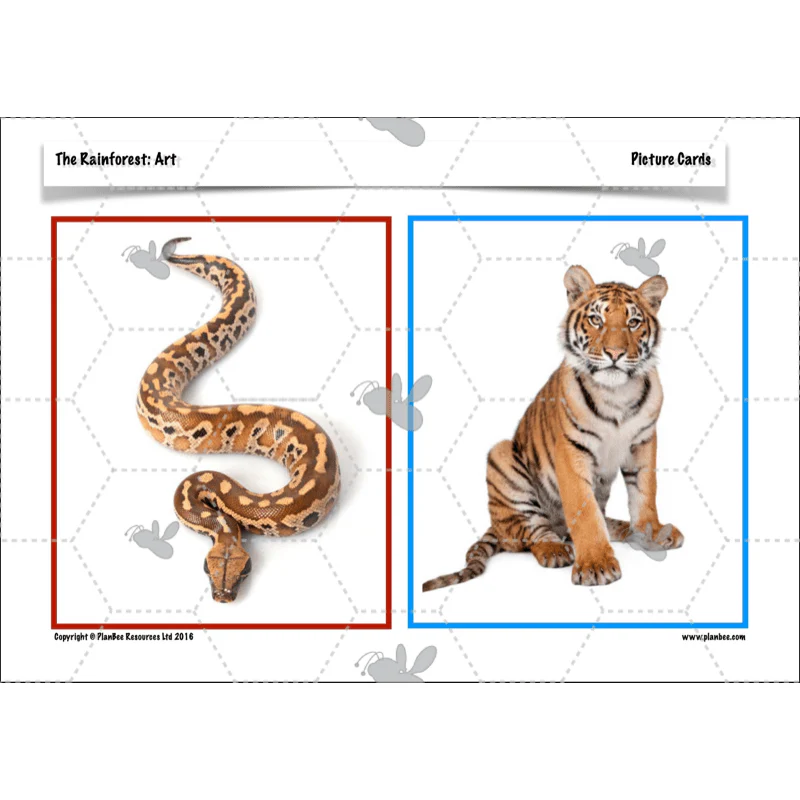 The Rainforest Topic Enrichment Pack - Image 33