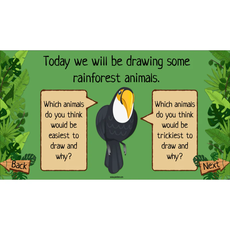 The Rainforest Topic Enrichment Pack - Image 4