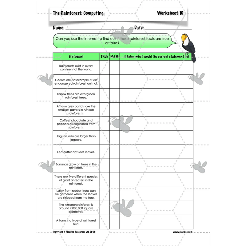 The Rainforest Topic Enrichment Pack - Image 55