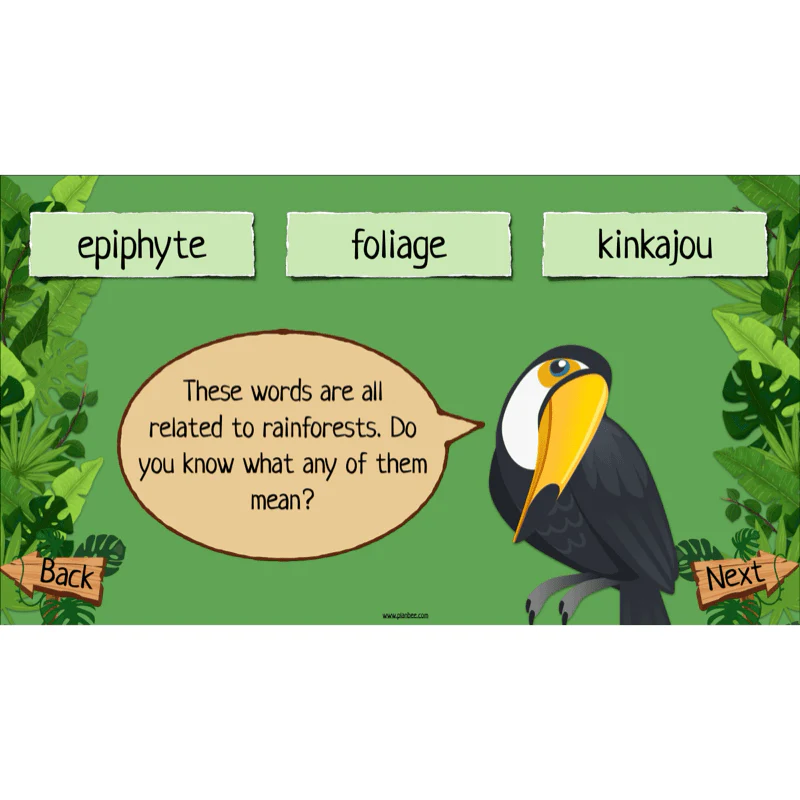 The Rainforest Topic Enrichment Pack - Image 60