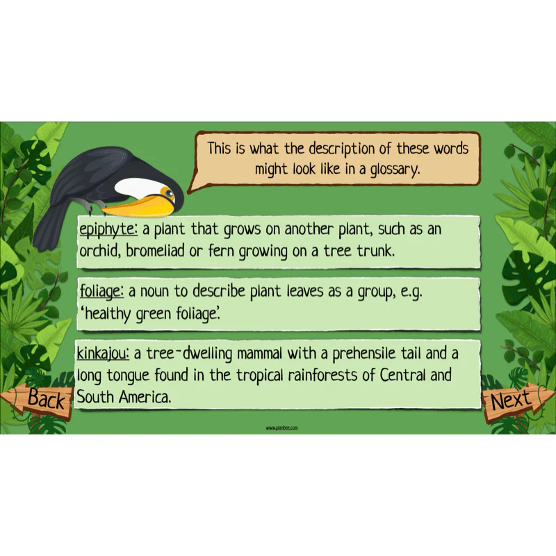 The Rainforest Topic Enrichment Pack - Image 61