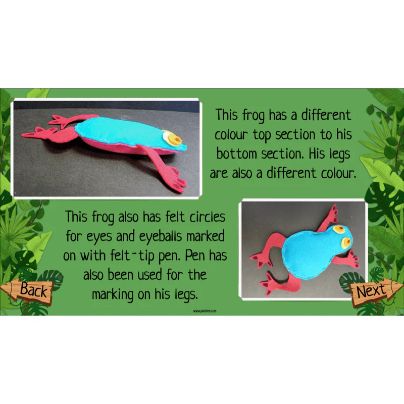 The Rainforest Topic Enrichment Pack - Image 70