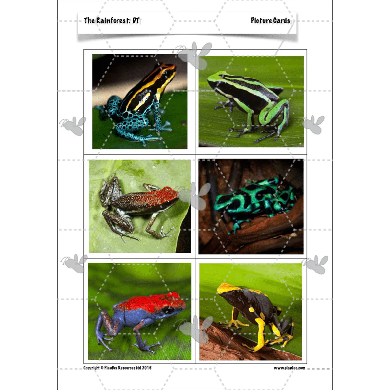 The Rainforest Topic Enrichment Pack - Image 73