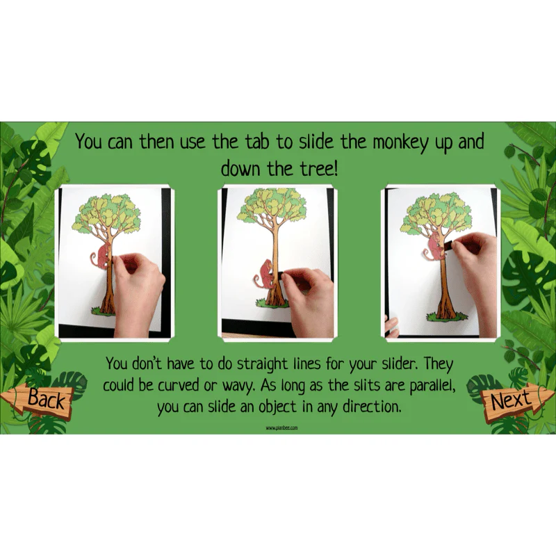 The Rainforest Topic Enrichment Pack - Image 76