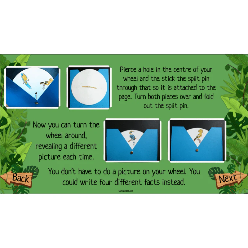 The Rainforest Topic Enrichment Pack - Image 77