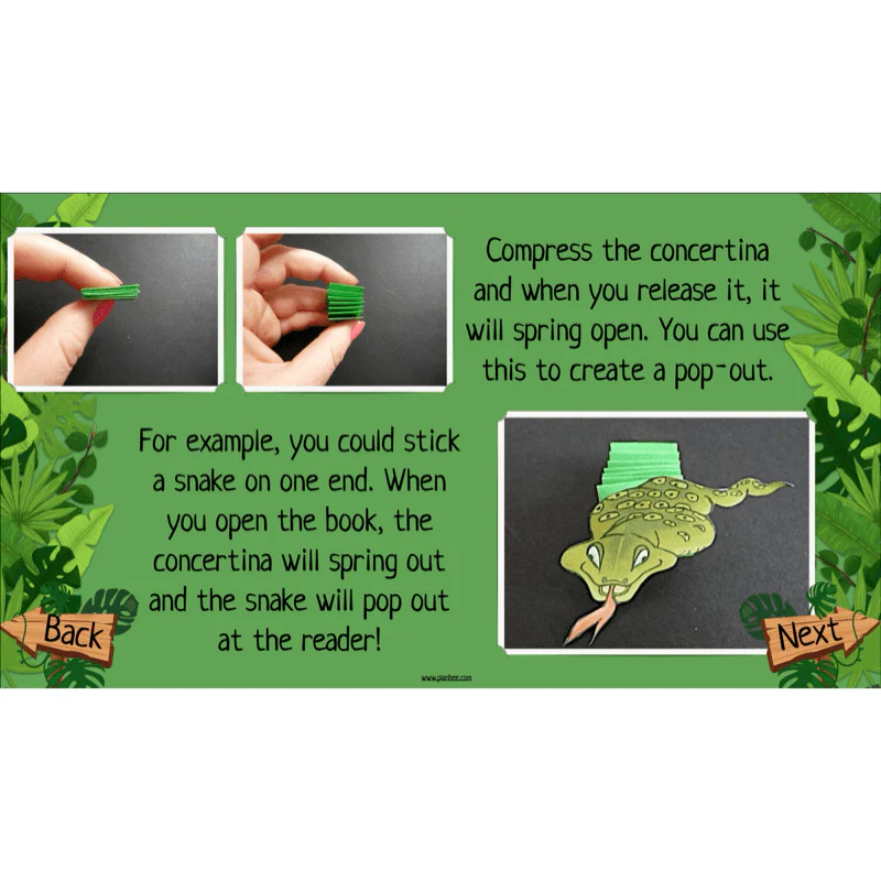 The Rainforest Topic Enrichment Pack - Image 78
