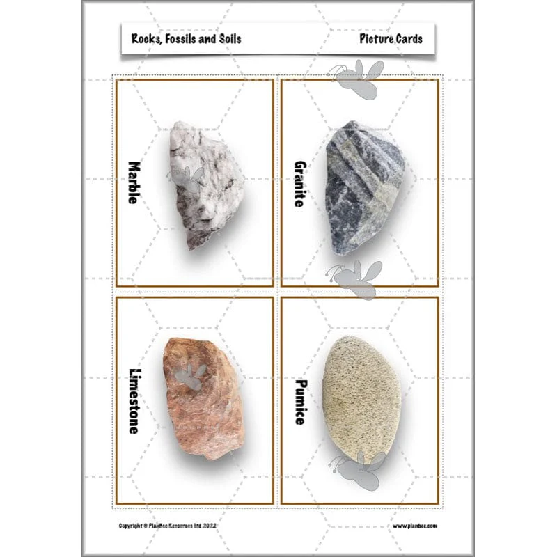 Rocks, Fossils and Soils - Image 13