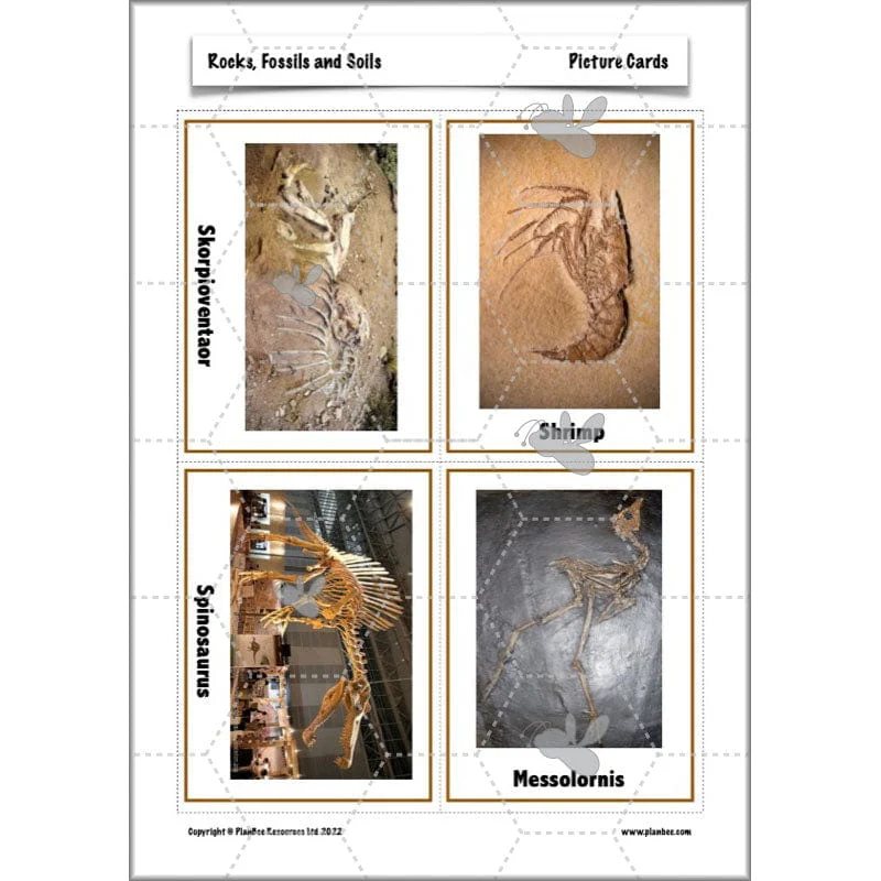 Rocks, Fossils and Soils - Image 18